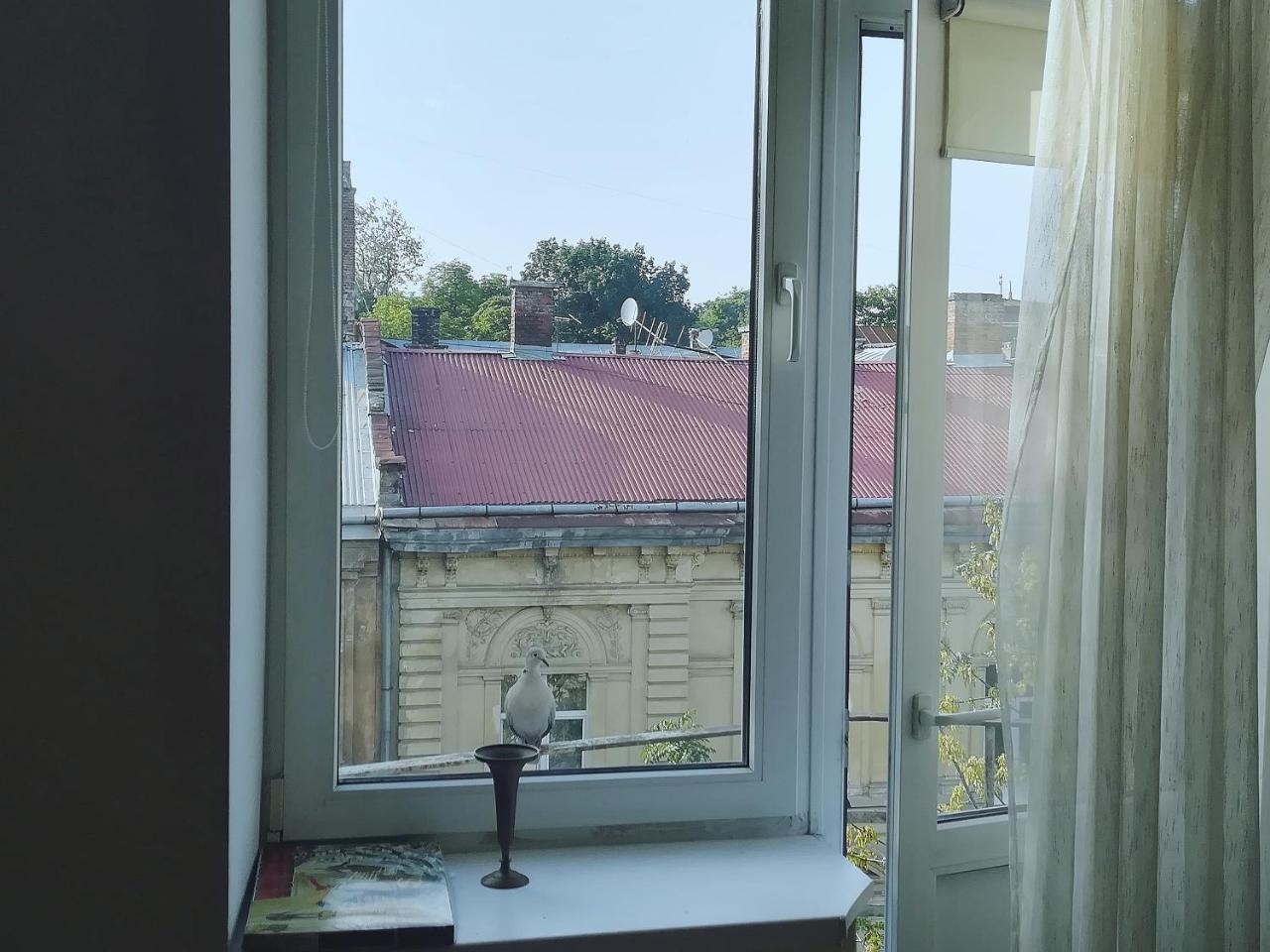 Valentine Apartment Lviv Eksteriør bilde